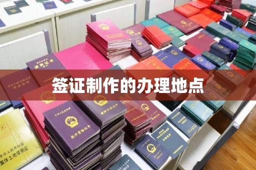 岳塘签证制作的办理地点